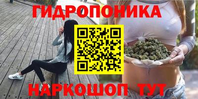 сатива Аша