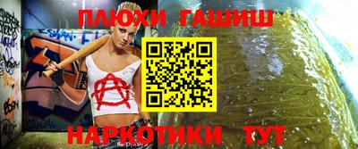 сатива Аша