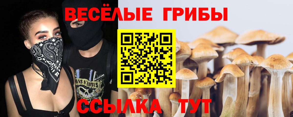 Псилоцибиновые грибы Psilocybine cubensis Тула